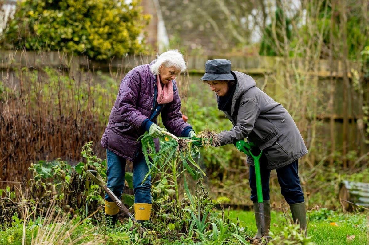 senior jardinage