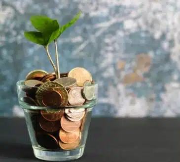 une plante verte dans un verre rempli de pièces de monnaie