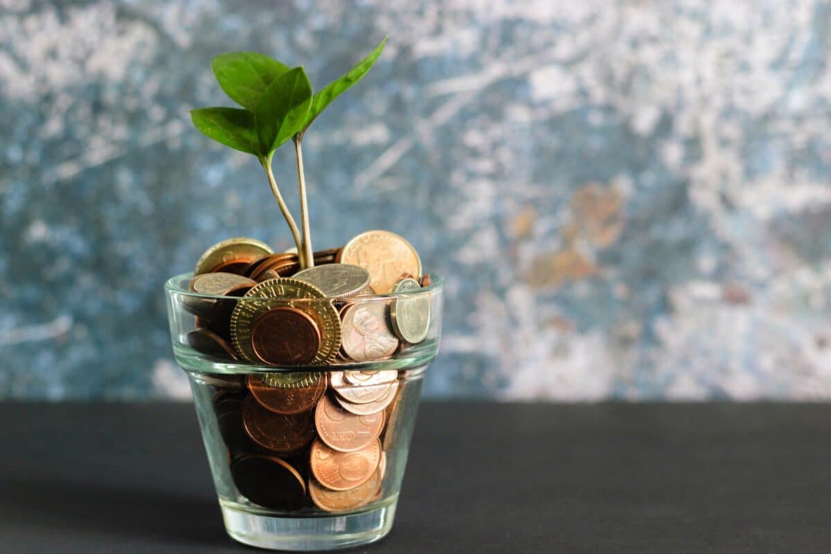 une plante verte dans un verre rempli de pièces de monnaie